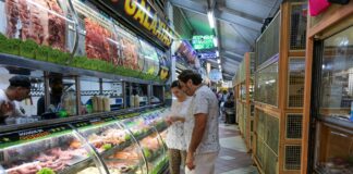 Feriado de Corpus Christi terá plantões e horários especiais