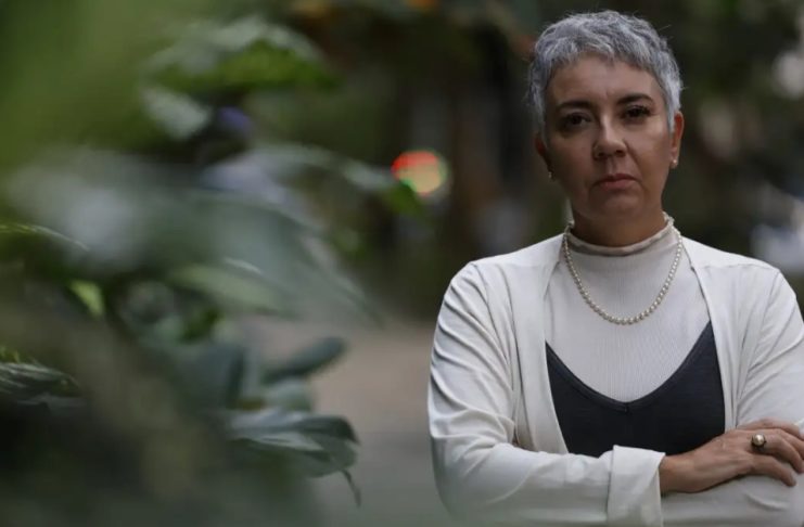 Venezuela não é ditadura nem democracia liberal, diz pesquisadora País vive momento de crise após eleições