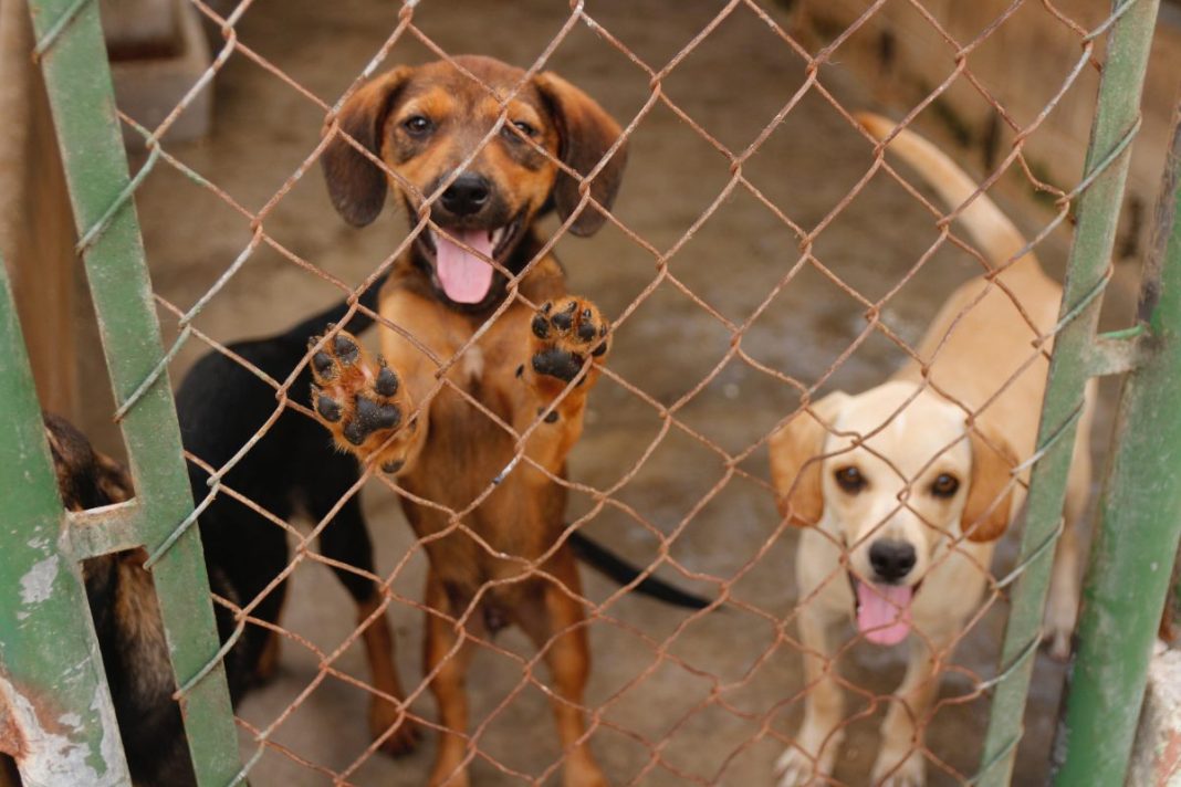 WhatsApp-Image-2025-03-07-at-16.35.07-1200x800