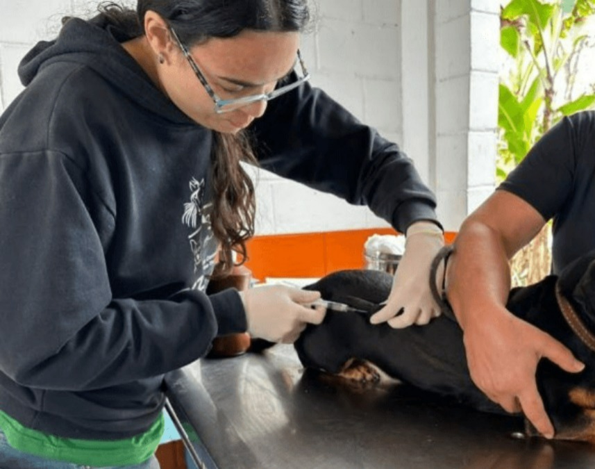 WhatsApp-Image-2025-03-19-at-16.17.10