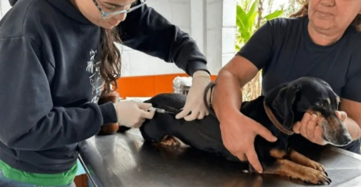 WhatsApp-Image-2025-04-09-at-17.05.05