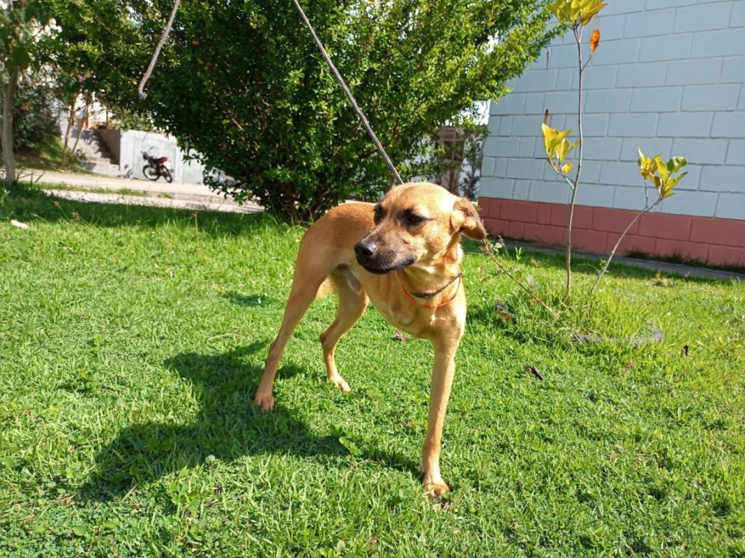 WhatsApp-Image-2025-04-24-at-16.13.02-1200x900