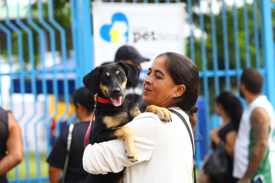 pets-636585_940-627-0-0