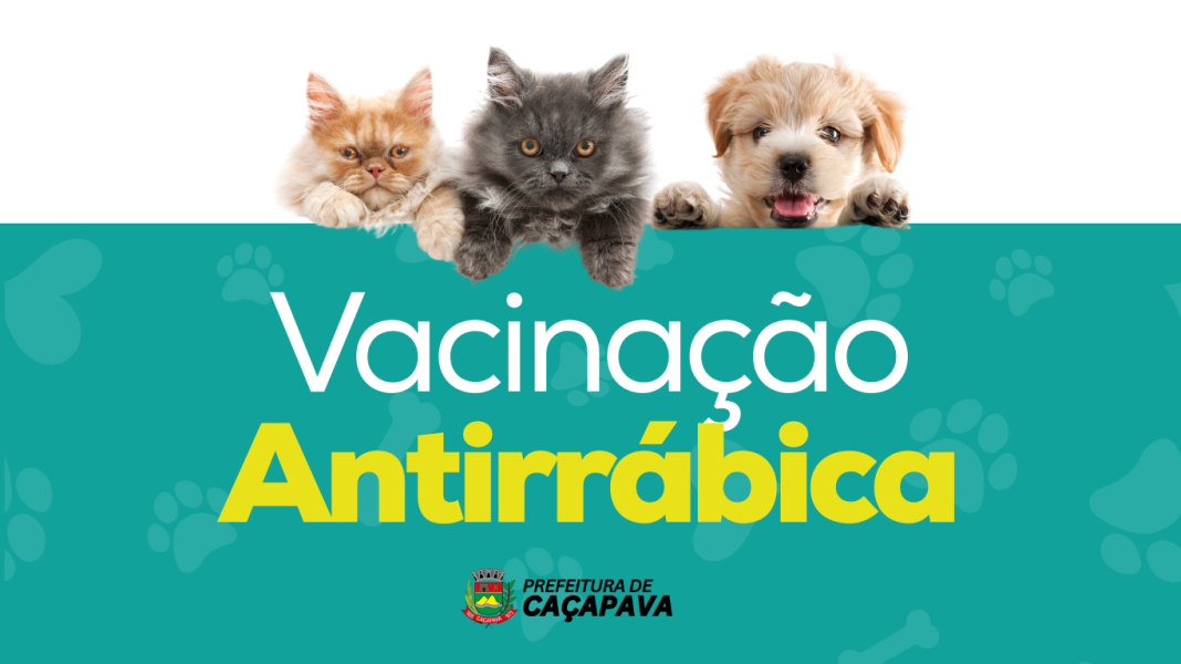 m_25_0_1_30042025150650