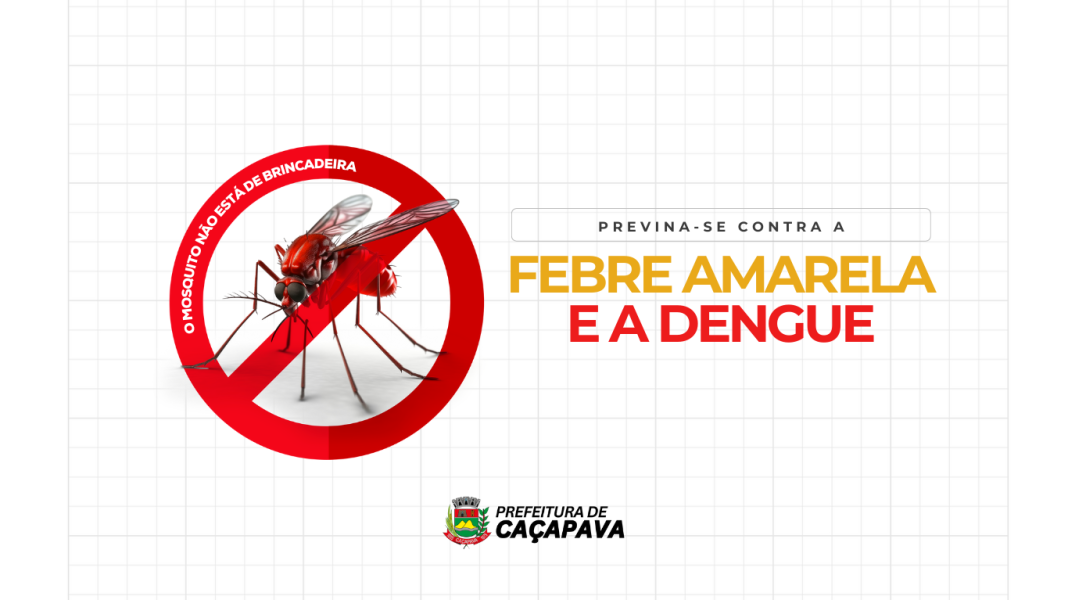 m_25_0_1_30042025181935