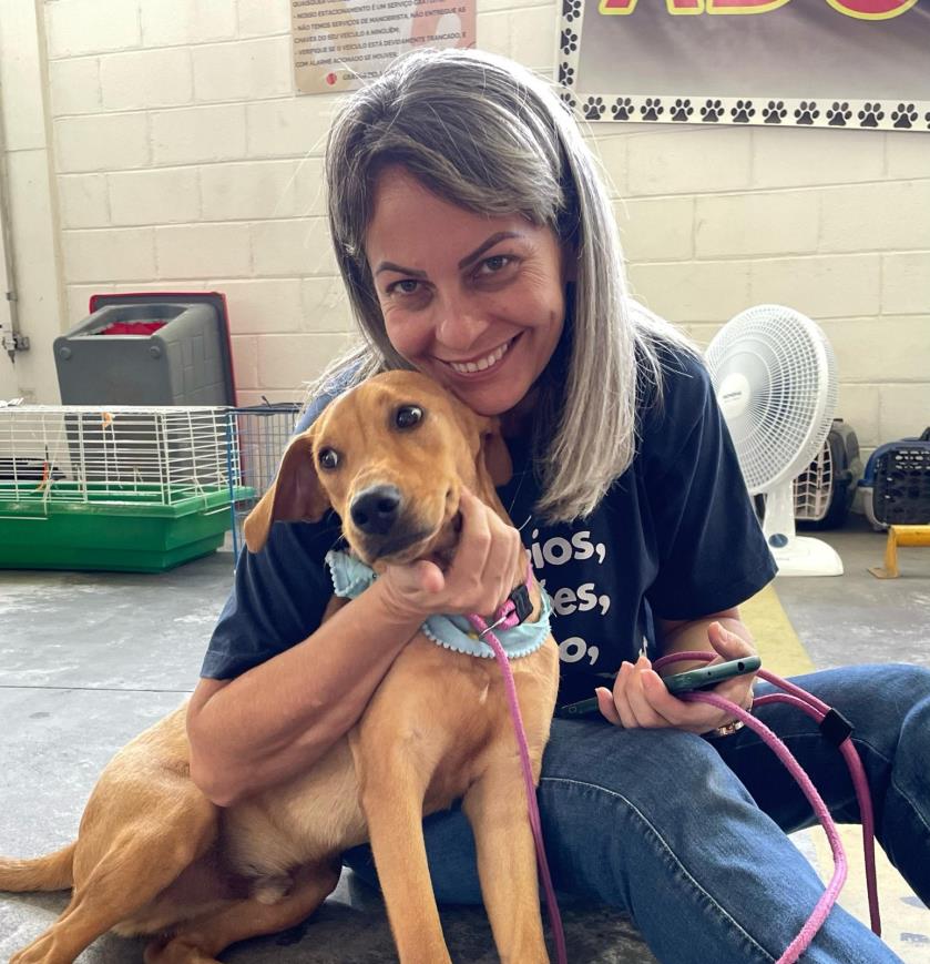 m_241_0_1_13062025130755