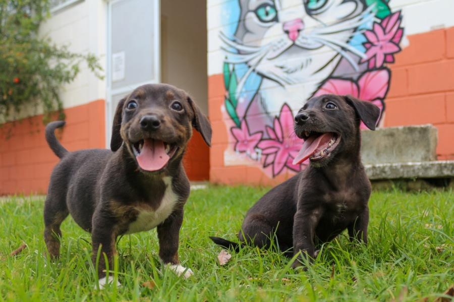 m_241_0_1_25062025125102