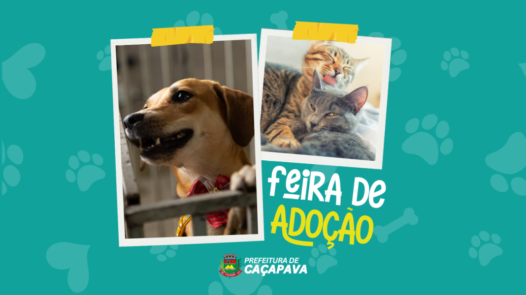 m_25_0_1_15072025143847