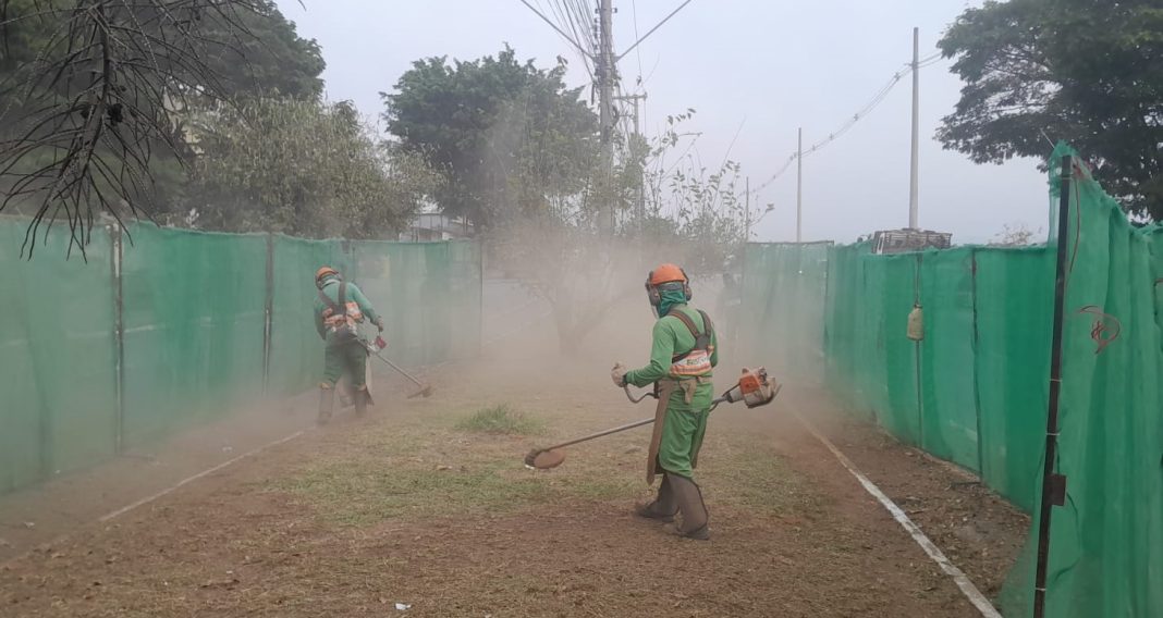 m_241_0_1_18082025103423