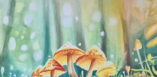 Centro Cultural recebe a exposição “Fragmentos” a partir de quarta-feira (26)