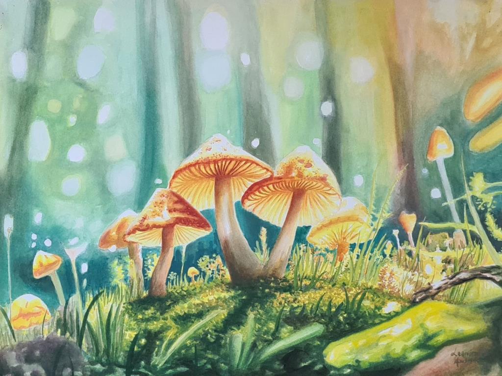 m_241_0_1_26112025100246