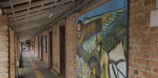 Espetáculos de dança, música e cinema movimentam a agenda cultural de Taubaté entre 11 e 17 de novembro