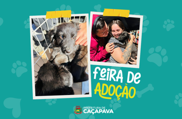 Feira de adoção acontece na Praça da Bandeira neste sábado (29)