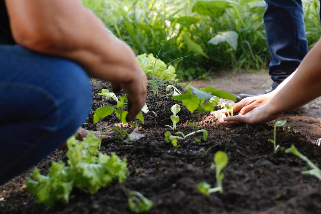 m_241_0_1_11122025163833