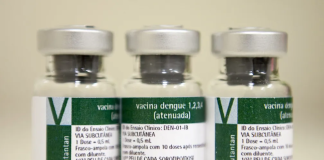Aplicação da vacina da dengue do Butantan começará a partir do dia 17