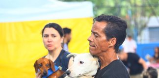Castração de cães e gatos abre inscrições na próxima terça-feira