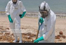 Plataforma oferece gratuitamente filmes nacionais