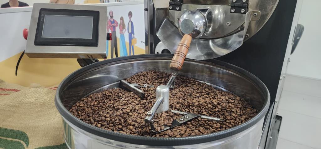 m_241_0_1_23022026153036