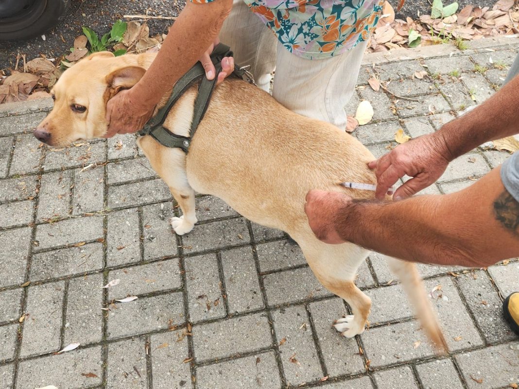 m_241_0_1_17092025164024