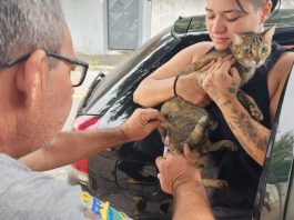Prefeitura realiza vacinação antirrábica de cães e gatos no Marlene Miranda