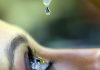 Uso indiscriminado de corticoides pode causar glaucoma e cegueira