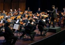 Orquestra exalta a música de concerto brasileira no Municipal