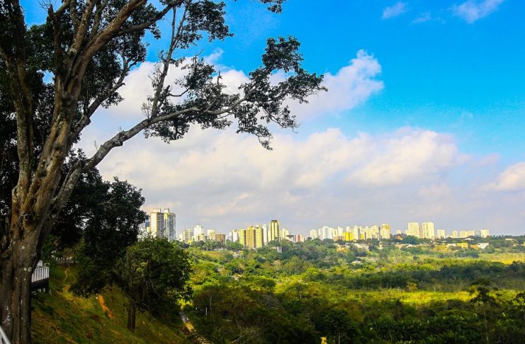 Fim de semana tem manhãs com neblina e tardes de sol no Vale do Paraíba e região; veja a previsão do tempo