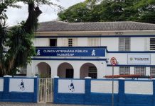 Com atendimento gratuito e espaço ampliado, Taubaté inaugura nova Clínica Pública Veterinária
