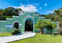 Parque do Itaim recebe roda de conversa sobre produção de mudas e compensação ambiental