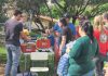 Fundo Social promove projeto Troca Verde nesta quarta na Avenida do Povo