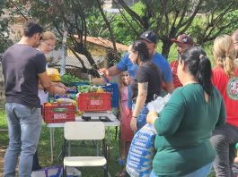 Fundo Social promove projeto Troca Verde nesta quarta na Avenida do Povo