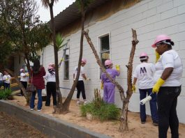 Fundo Social abre inscrições para cursos gratuitos de pintura residencial e jardinagem para mulheres