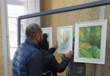 Villa Santo Aleixo recebe exposição sobre as múltiplas formas da natureza