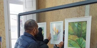 Villa Santo Aleixo recebe exposição sobre as múltiplas formas da natureza