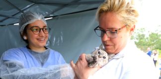Proteção Animal faz entrega de senhas para mutirão de castração no São Silvestre