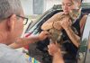 Prefeitura realiza vacinação antirrábica de cães e gatos na Estiva nesta quarta (29)