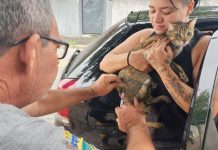 Prefeitura realiza vacinação antirrábica de cães e gatos na Estiva nesta quarta (29)