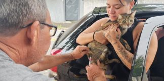 Prefeitura realiza vacinação antirrábica de cães e gatos na Estiva nesta quarta (29)