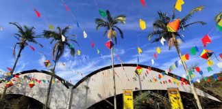 Parque da Cidade terá transmissão ao vivo de Brasil e Noruega neste domingo (5)
