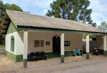 Centro de Zoonoses promove campanha de castração de cães e gatos