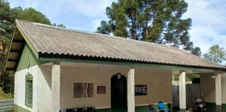 Centro de Zoonoses promove campanha de castração de cães e gatos