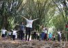 Yoga, modelagem em argila e kokedama: confira atrações do Viver o Viveiro deste domingo (23)
