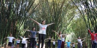 Yoga, modelagem em argila e kokedama: confira atrações do Viver o Viveiro deste domingo (23)