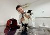 Hospital Veterinário inicia vacinação e microchipagem