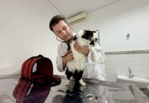 Hospital Veterinário inicia vacinação e microchipagem