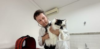Hospital Veterinário inicia vacinação e microchipagem