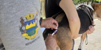 Prefeitura realiza vacinação antirrábica de cães e gatos no Jardim Resende nesta quarta (12)