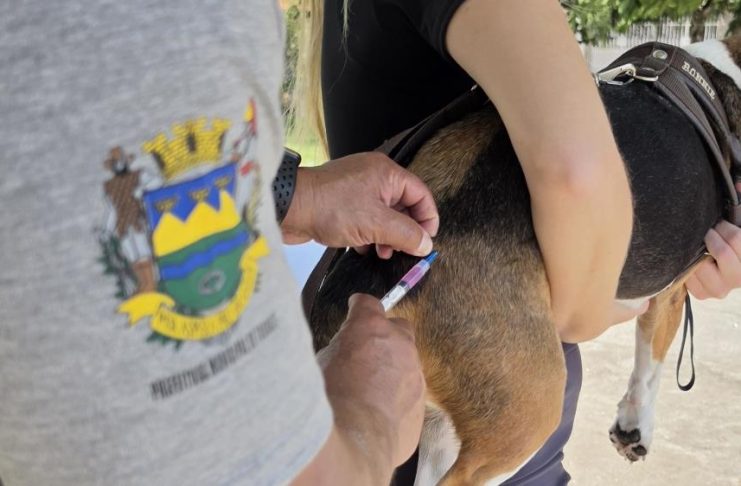 Prefeitura realiza vacinação antirrábica de cães e gatos no Jardim Resende nesta quarta (12)