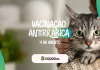 Campanha de vacinação antirrábica no dia 04 de agosto