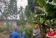 Projeto Guardiões de Raízes une habitação, sustentabilidade e saberes tradicionais em Pinda